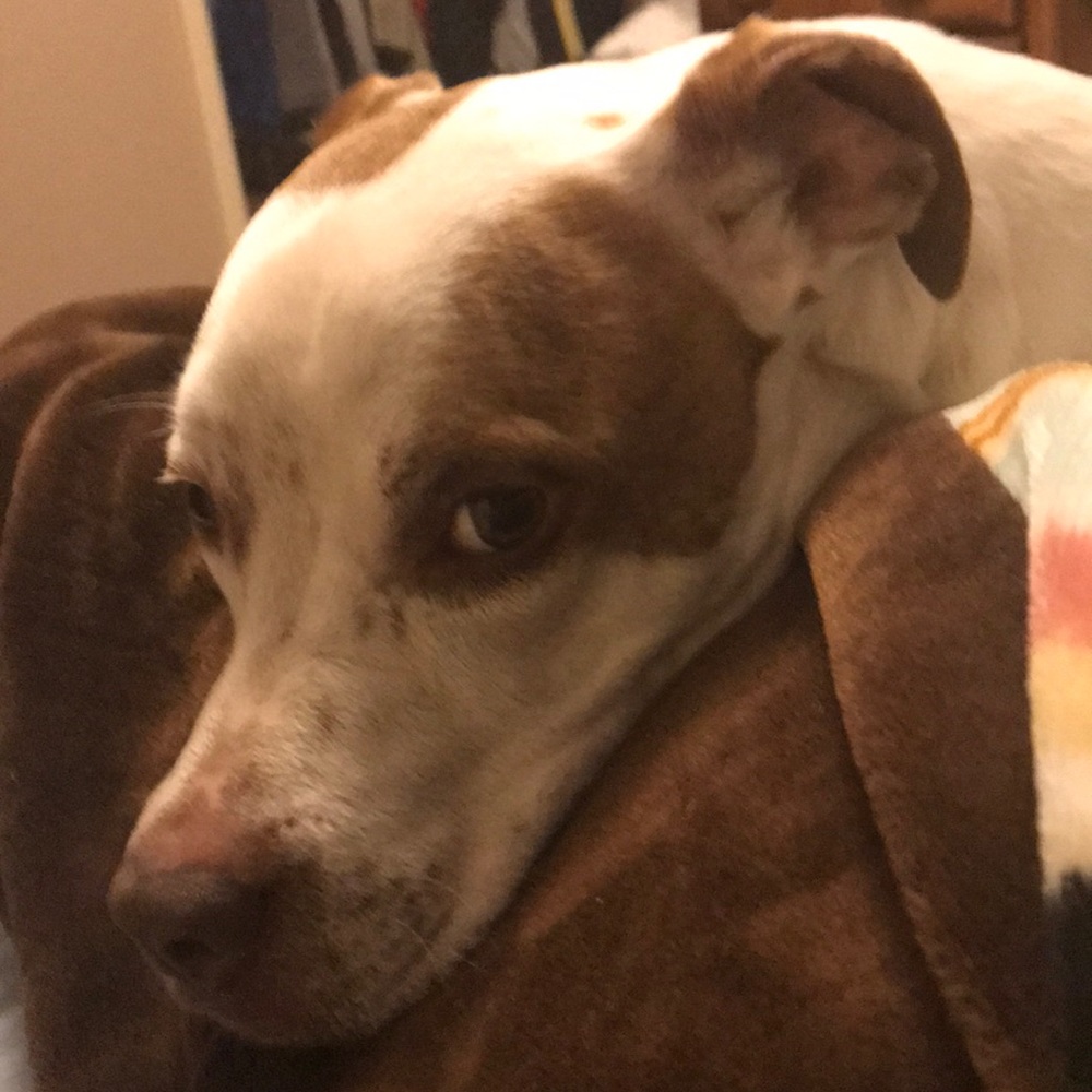 Meet your Posher, Rebecca